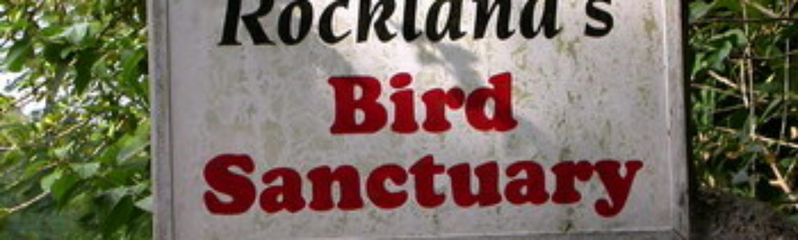 Birds Found at Rocklands bird sanctuary plus Traveller reviews